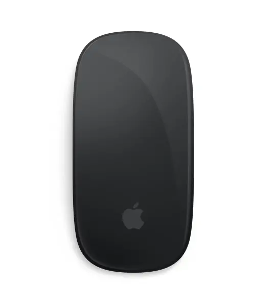 Apple Magic Mouse Multi-Touch Surface